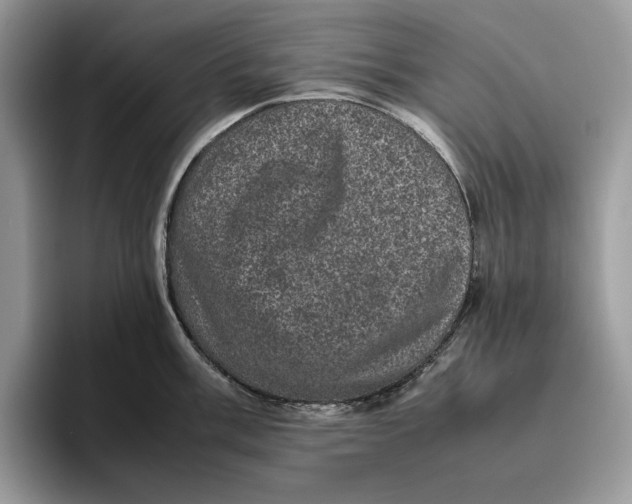 X0000095951003200802011058