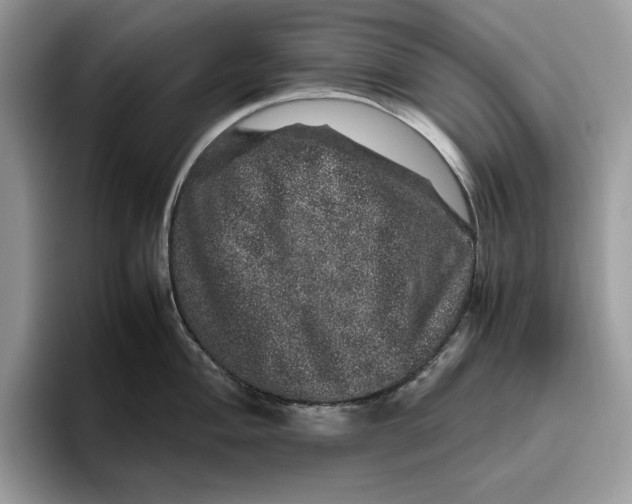 X0000095951004200802011058