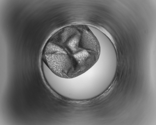 X0000095951005200802011058