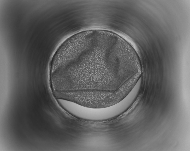 X0000095951006200802011058