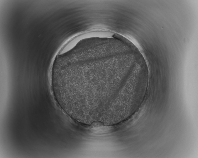 X0000095951008200802011058