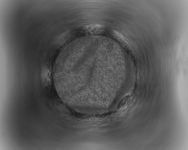 X0000095951010200802011057