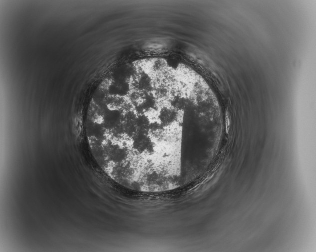 X0000095951011200802011057