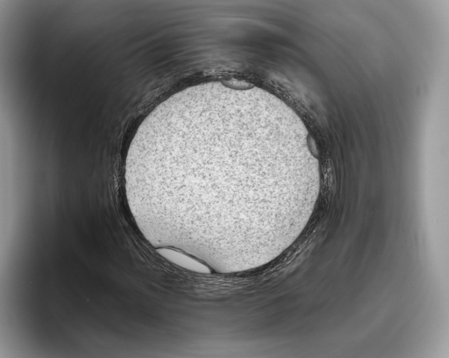 X0000095951012200802011057