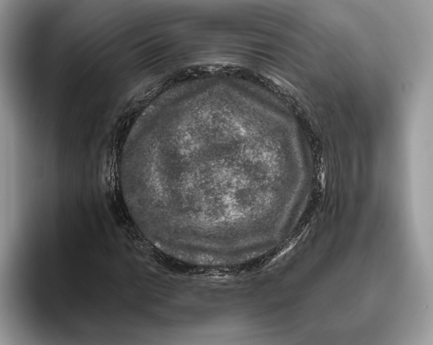 X0000095951014200802011057