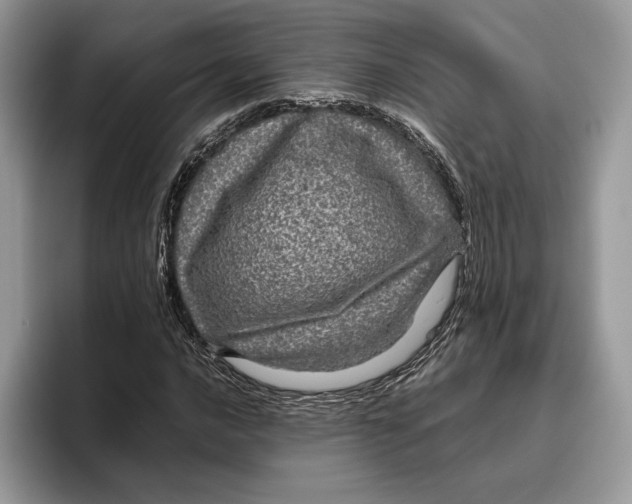 X0000095951016200802011057