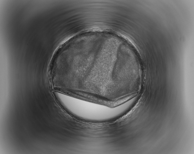 X0000095951018200802011057