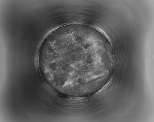 X0000095951019200802011057