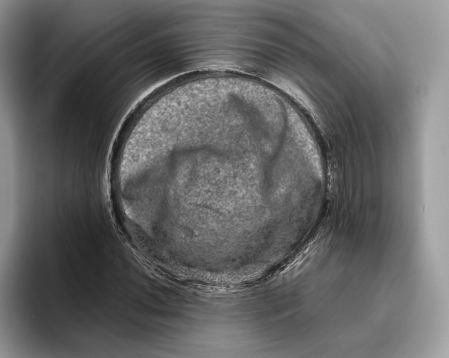 X0000095951020200802011057