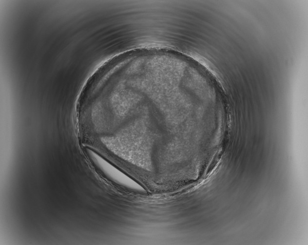 X0000095951022200802011057