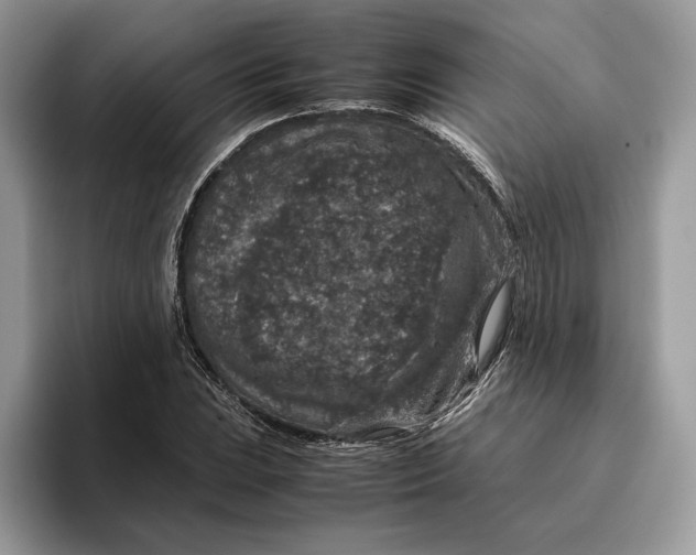 X0000095951023200802011057