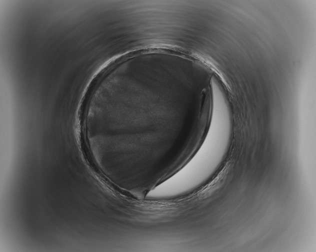 X0000095951024200802011057