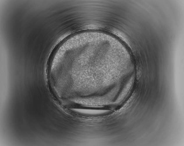 X0000095951026200802011057