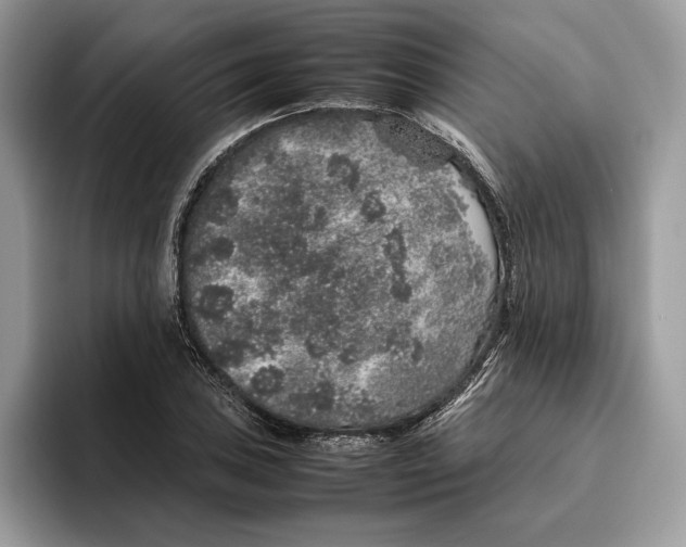 X0000095951027200802011057