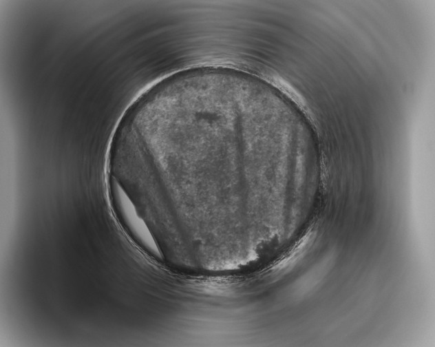 X0000095951028200802011057