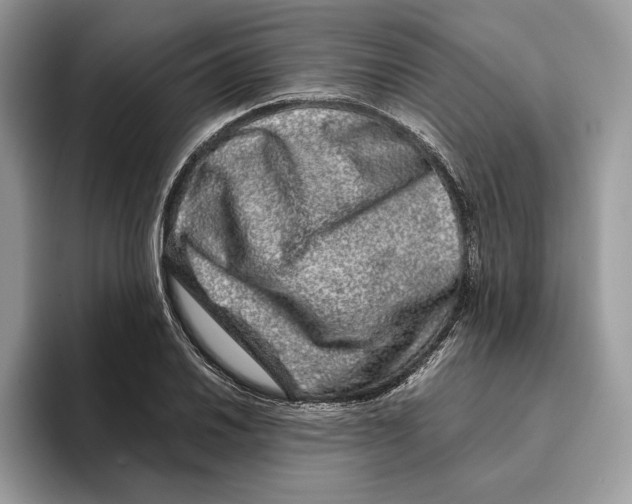 X0000095951030200802011057