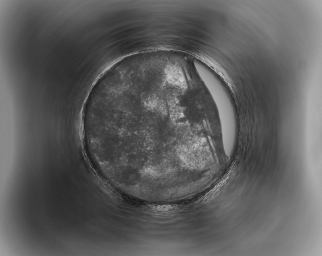 X0000095951031200802011057