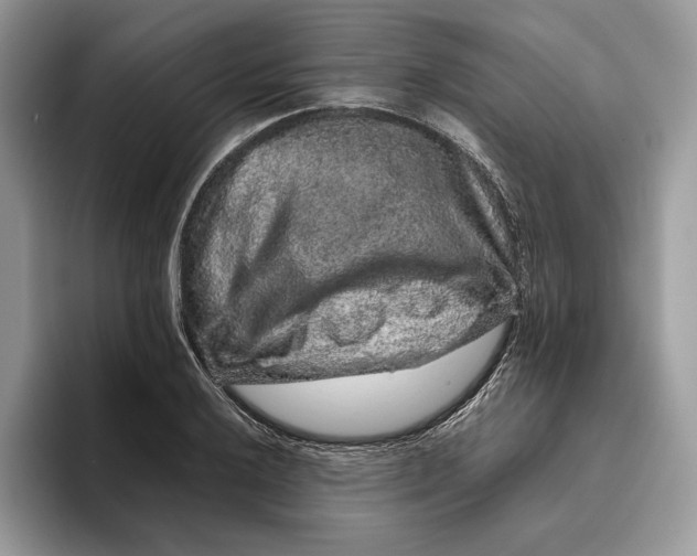 X0000095951032200802011057