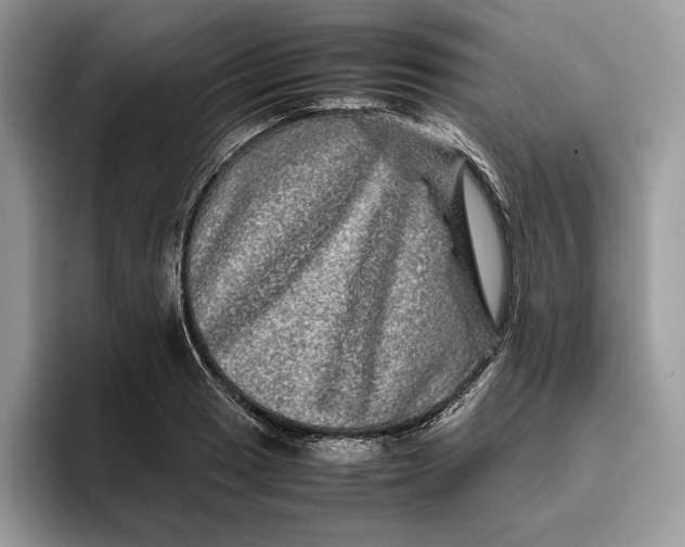 X0000095951033200802011058