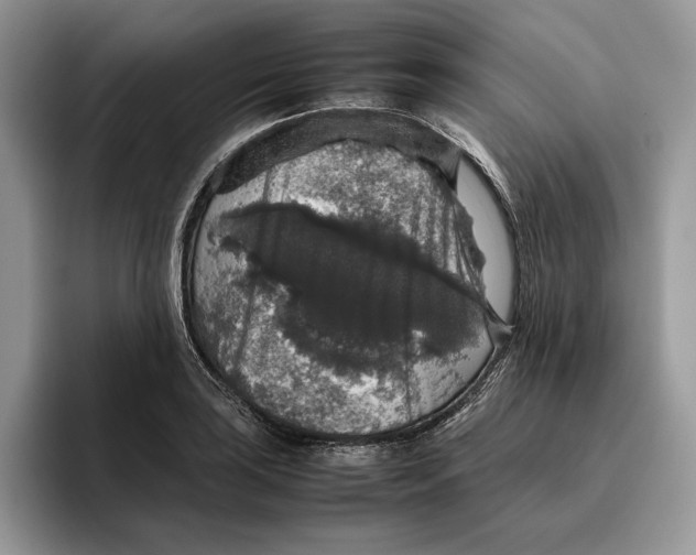 X0000095951035200802011058