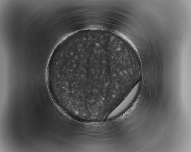 X0000095951037200802011058