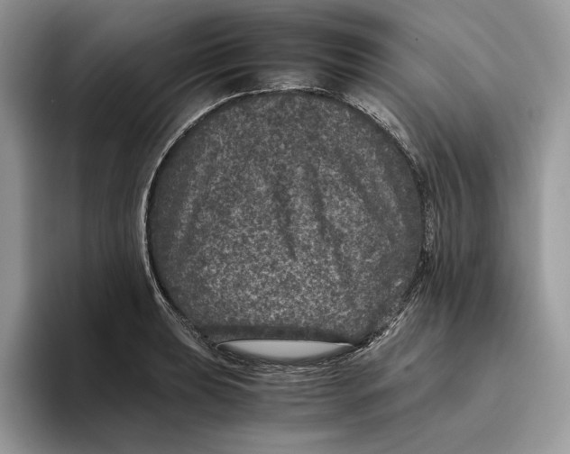 X0000095951039200802011058