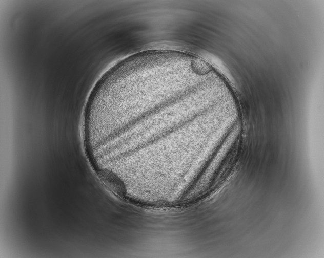 X0000095951040200802011058