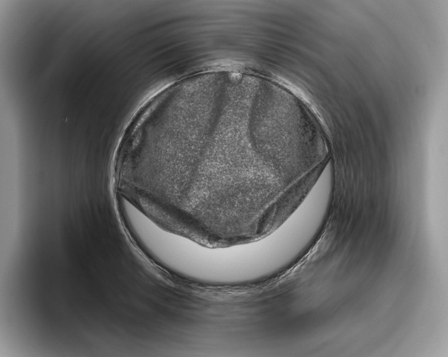 X0000095951042200802011058