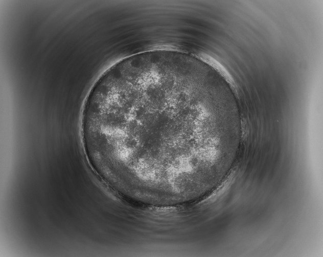 X0000095951043200802011058