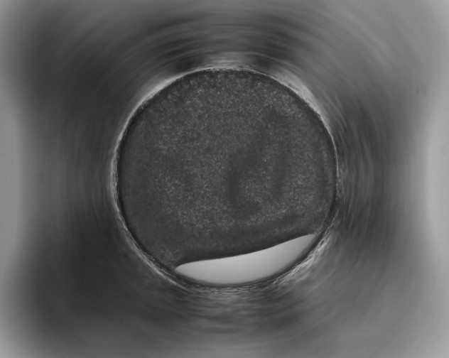 X0000095951045200802011058