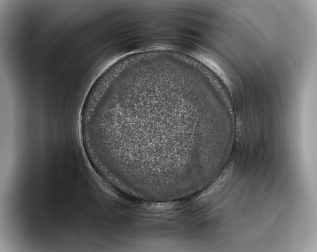 X0000095951047200802011058