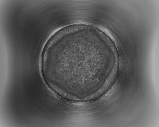 X0000095951048200802011058