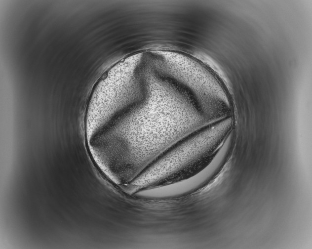 X0000095951049200802011058