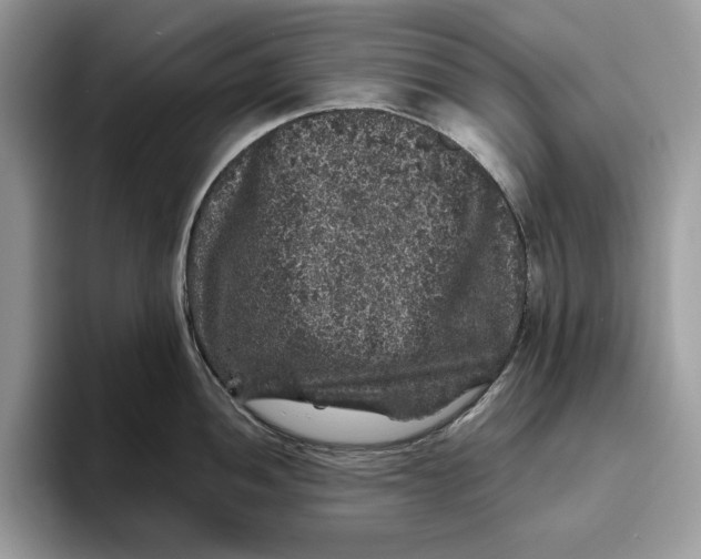 X0000095951052200802011058