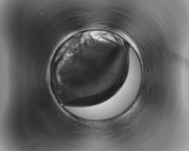 X0000095951053200802011058