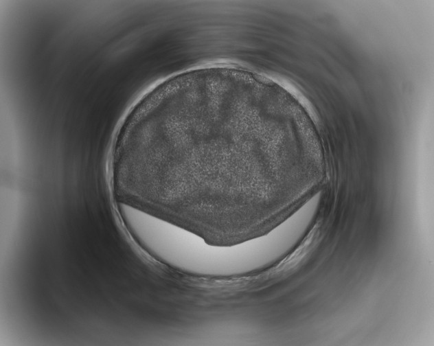 X0000095951054200802011058