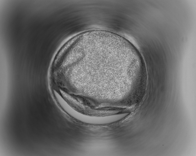 X0000095951056200802011058