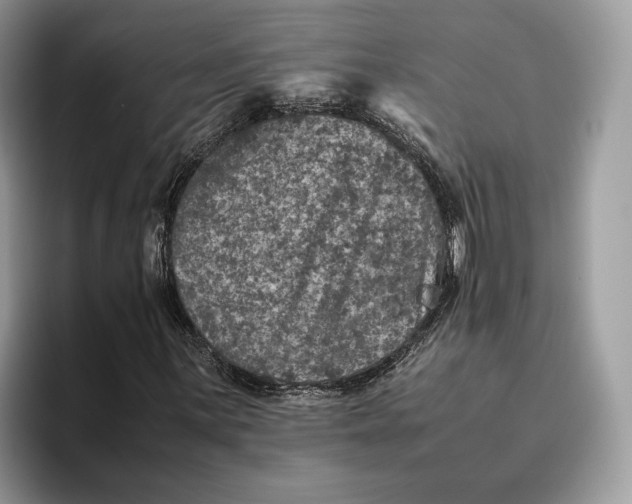 X0000095951059200802011057