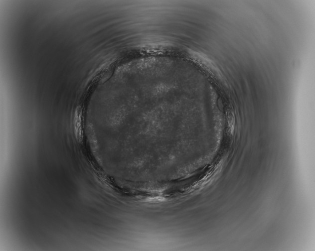 X0000095951060200802011057