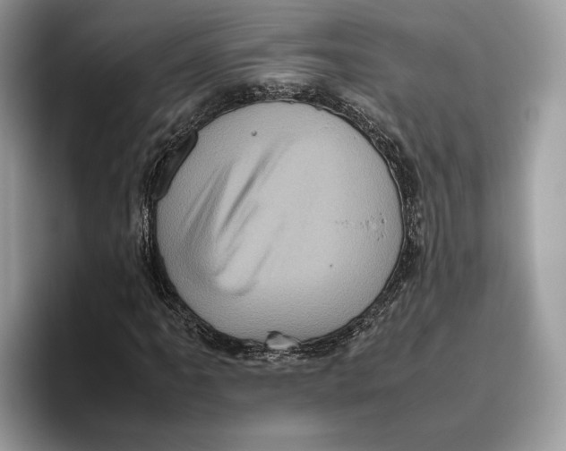 X0000095951061200802011057