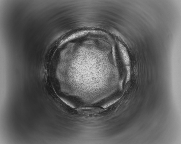 X0000095951064200802011057