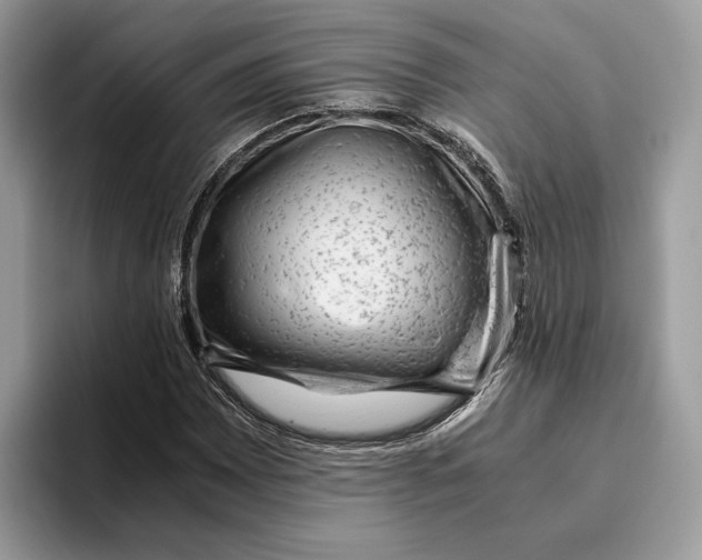 X0000095951065200802011057