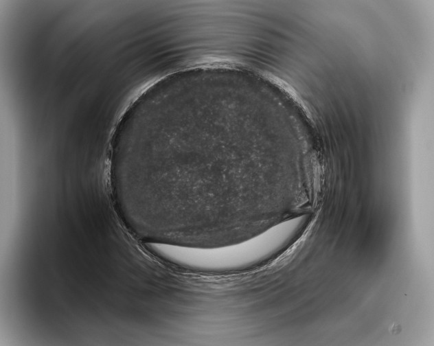 X0000095951066200802011057