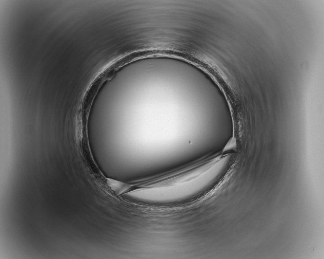 X0000095951069200802011057