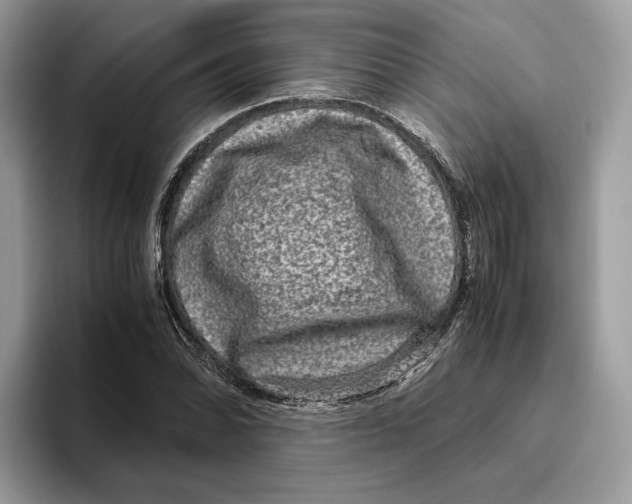 X0000095951070200802011057