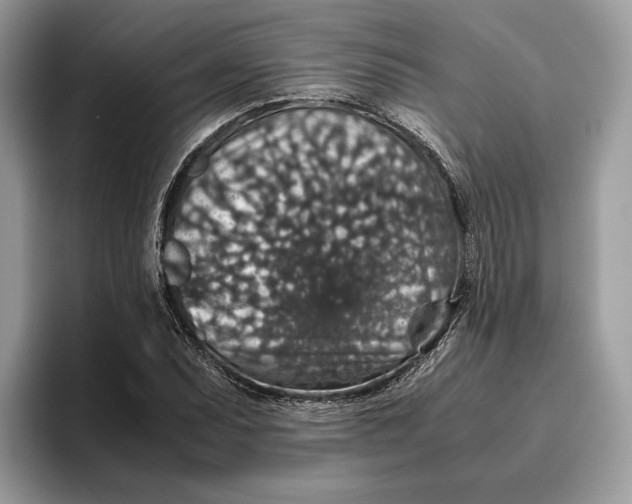 X0000095951071200802011057