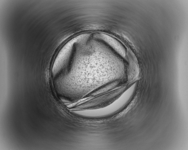 X0000095951073200802011057