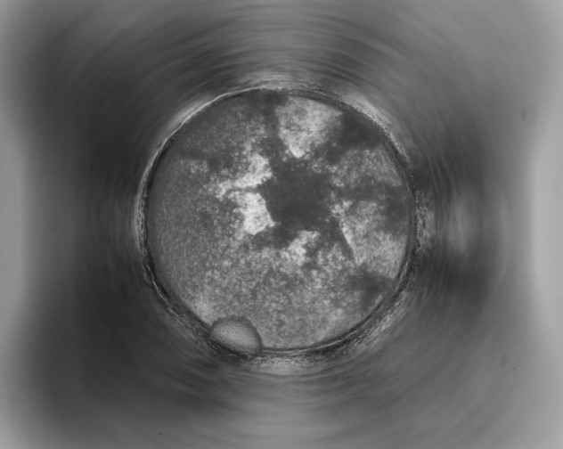 X0000095951074200802011057