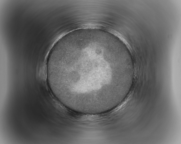 X0000095951075200802011057