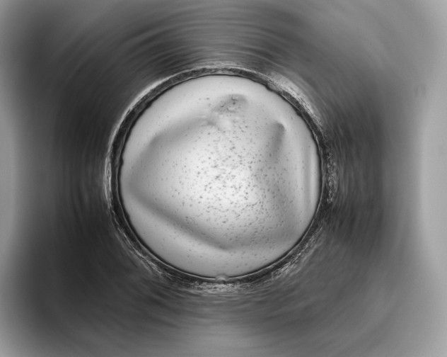 X0000095951076200802011057